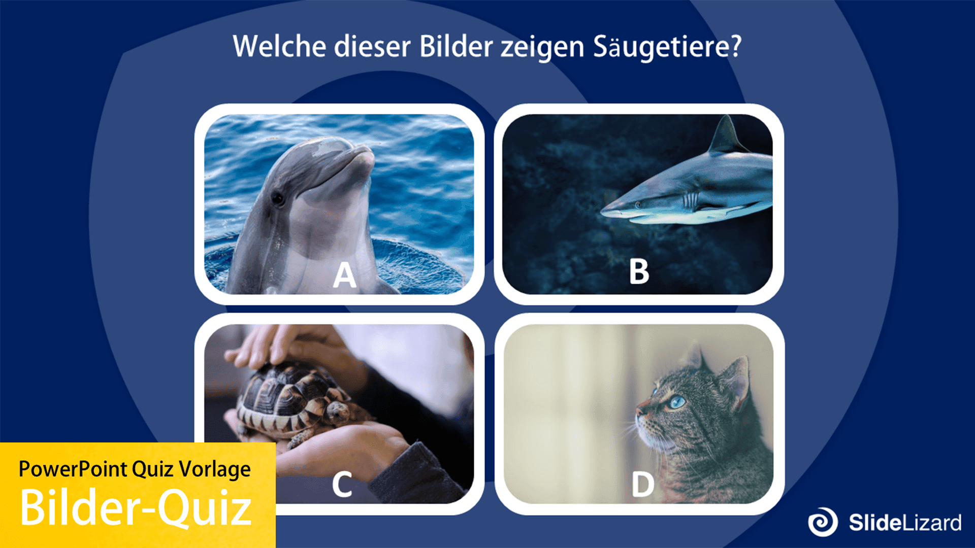 Quiz mit Bildern als Auswahlmöglichkeiten