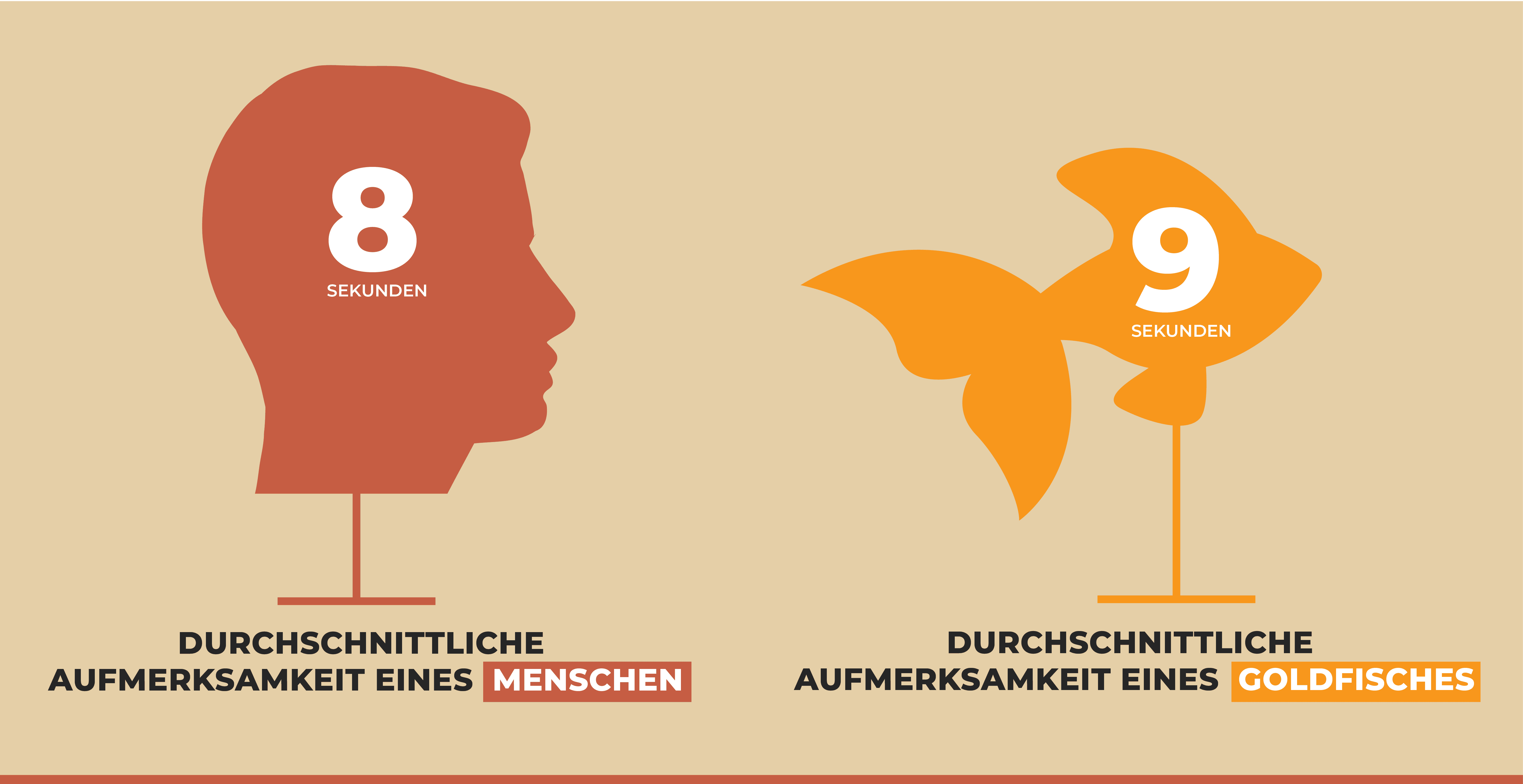 Aufmerksamkeitsspanne