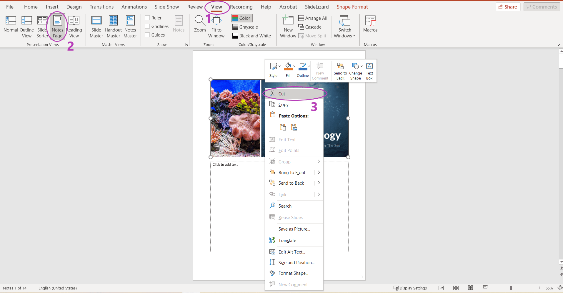 print notes out without the slides